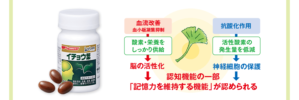 認知機能の一部「記憶力を維持する機能」が認められる