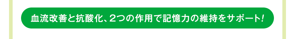 血流改善と抗酸化、2つの作用で記憶力の維持をサポート！