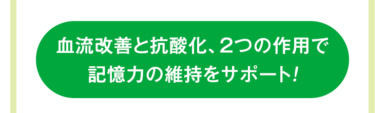 血流改善と抗酸化、2つの作用で記憶力の維持をサポート！