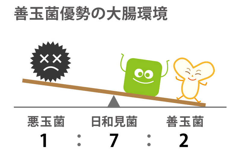 善玉菌の優勢な大腸環境を目指そう！