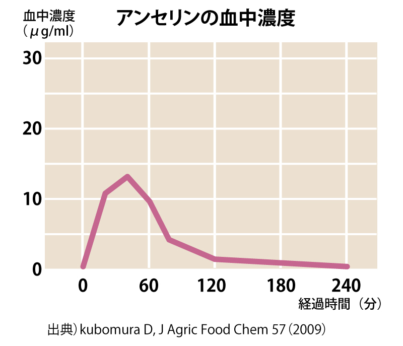アンセリンの血中濃度