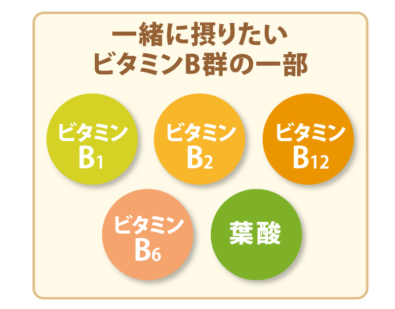 一緒に摂りたいビタミンB群の一部