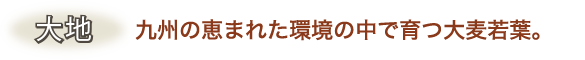 九州の恵まれた環境の中で育つ大麦若葉。