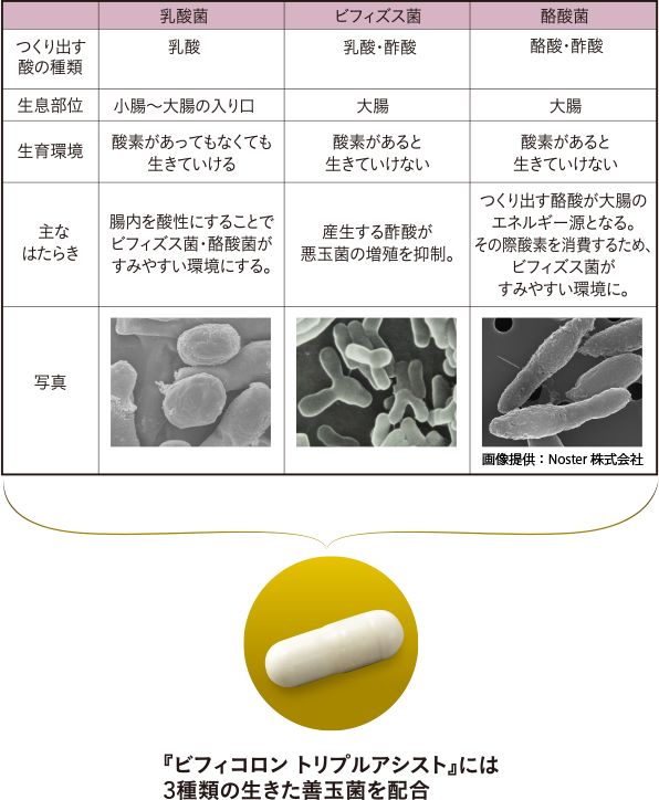 図表