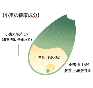 １００年の研究の中で見出した有用成分