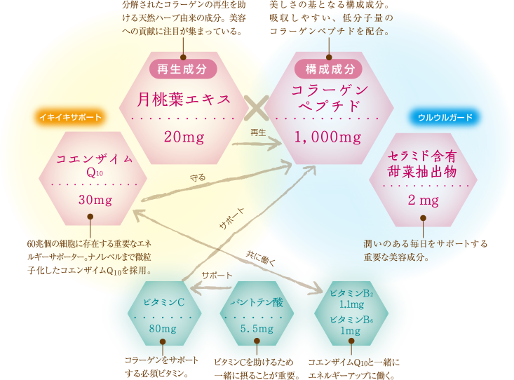 美しさを「高めて、育てる」独自の配合