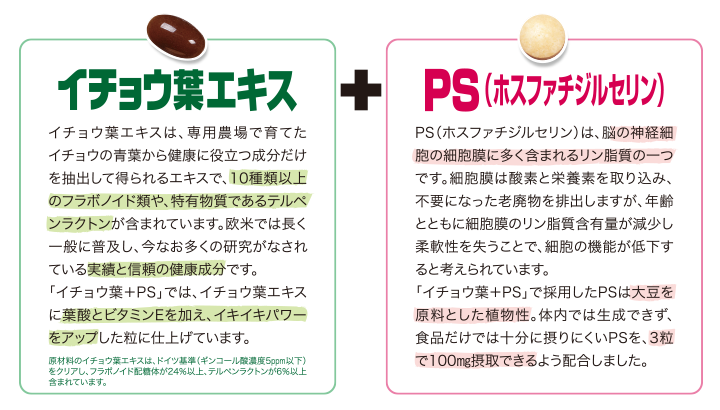 ダブルの作用でイキイキ聡明に