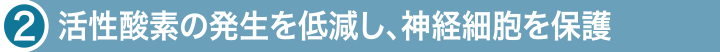 活性酸素の発生を低減し、神経細胞を保護