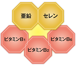 亜鉛をはじめとするミネラル、ビタミン、クエン酸