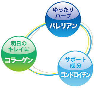 ３つの成分が貴方をサポート！