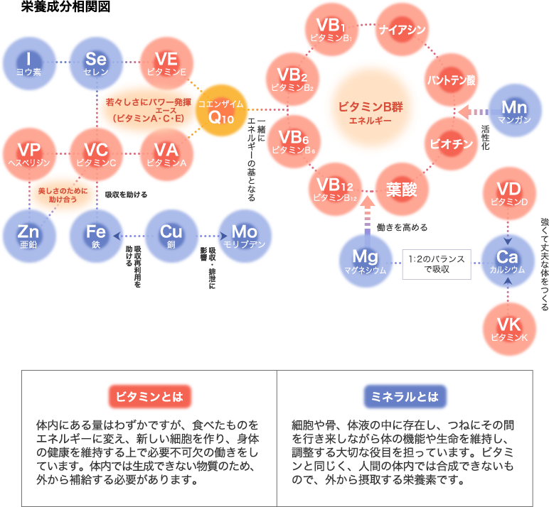 長年の研究知見に基づいた設計