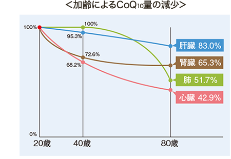 加齢によるCoQ10量の減少