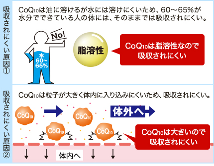 コエンザイムQ10が吸収されにくい原因