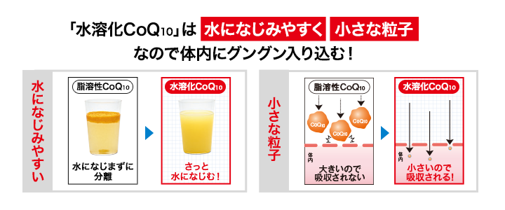 水溶化CoQ10は水になじみやすく小さな粒子状なので体内にグングン入り込む！