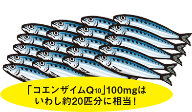 「コエンザイムQ10」100mgはいわし約20匹分に相当！