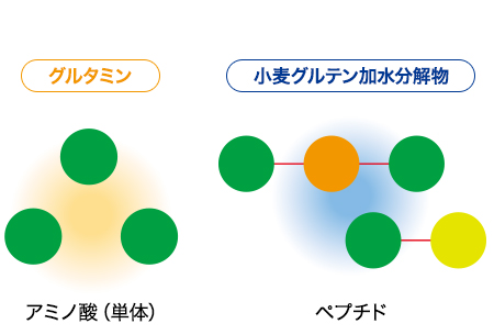 ウィグライとは