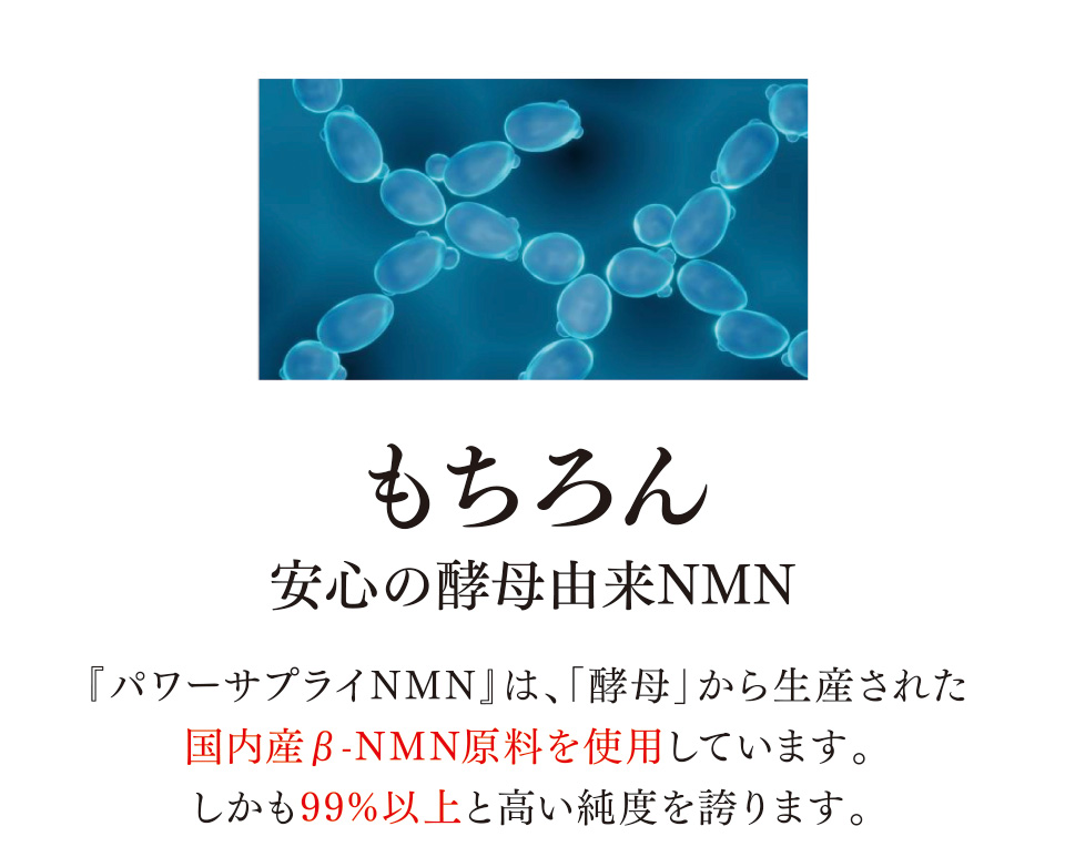 もちろん安心の酵母由来NMN『パワーサプライNMN』は、「酵母」から生産された国内産β-NMN原料を使用しています。しかも99%以上と高い純度を誇ります。健康科学研究所