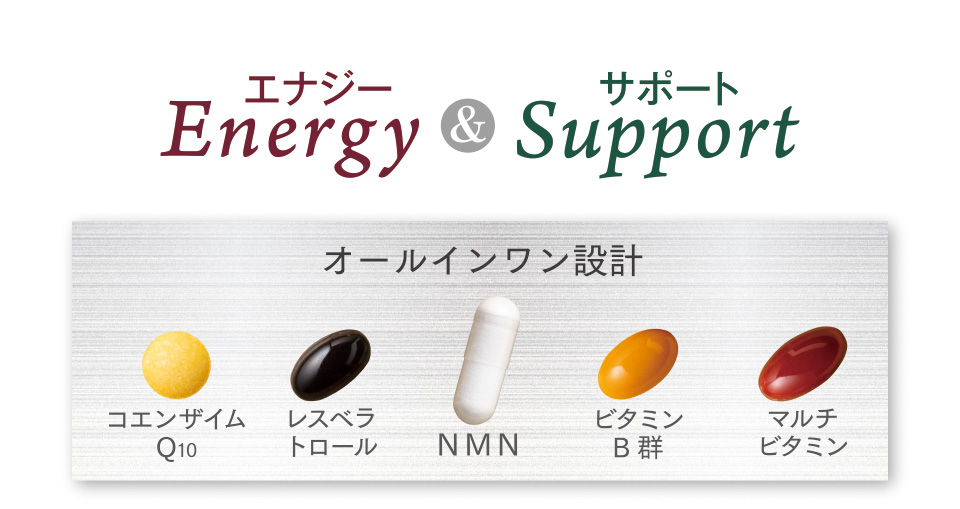 Energy（エナジー） ＆ Support（サポート）　オールインワン設計　コエンザイムQ10　レスベラトロール　NMN　ビタミンB群　マルチビタミン