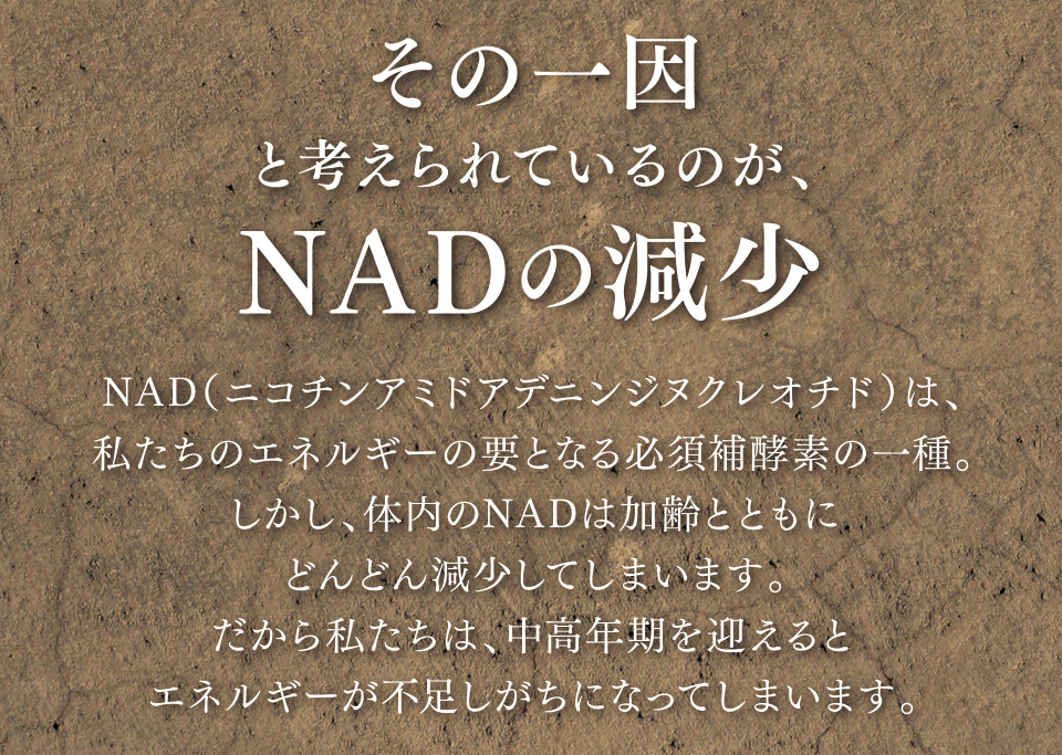 その一因と考えられているのが、NADの減少　NAD（ニコチンアミドアデニンジヌクレオチド）は、私たちのエネルギーの要となる必須補酵素の一種。しかし、体内のNADは加齢とともにどんどん減少してしまいます。だから私たちは、中高年期を迎えるとエネルギーが不足しがちになってしまいます。