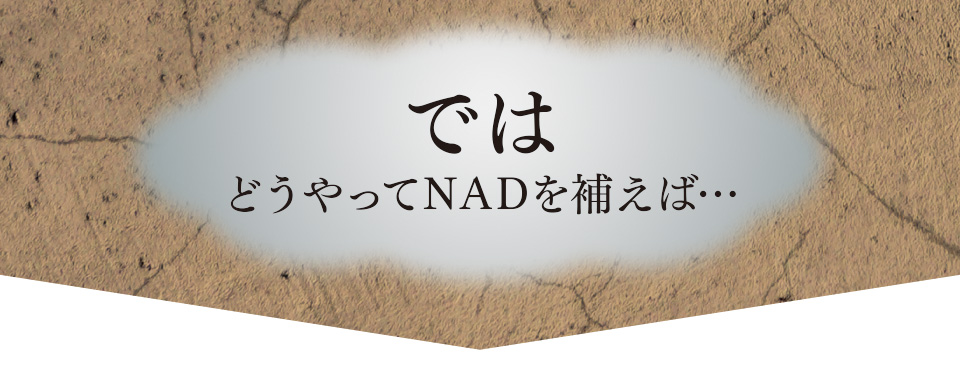 ではどうやってNADを補えば…
