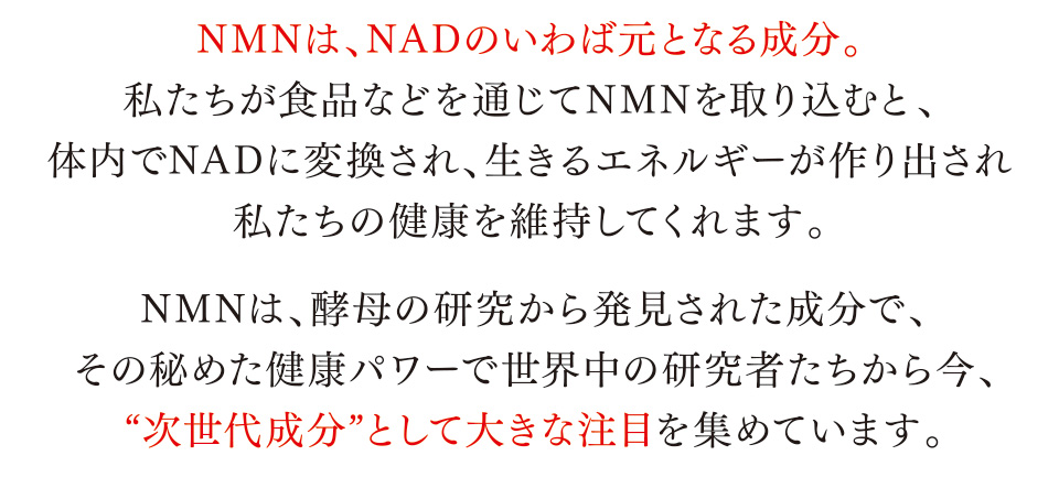 NMNは、NADのいわば元となる成分。私たちが食品などを通じてNMNを取り込むと、体内でNADに変換され、生きるエネルギーが作り出され私たちの健康を維持してくれます。　NMNは、酵母の研究から発見された成分で、その秘めた健康パワーで世界中の研究者たちから今、“次世代成分”として大きな注目を集めています。