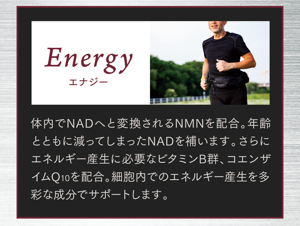 Energy　エナジー　体内でNADへと変換されるNMNを配合。年齢とともに減ってしまったNADを補います。さらにエネルギー産生に必要なビタミンB群、コエンザイムQ10を配合。細胞内でのエネルギー産生を多彩な成分でサポートします。