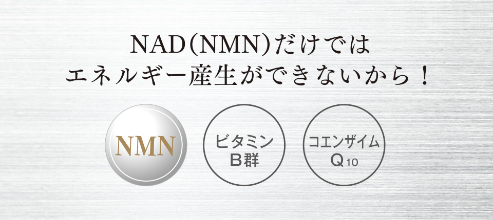 NAD（NMN）だけではエネルギー産生ができないから！　NMN　ビタミンB群　コエンザイムQ10
