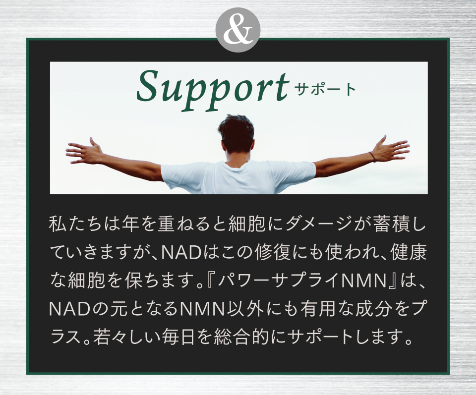 ＆Support　サポート　私たちは年を重ねると細胞にダメージが蓄積していきますが、NADはこの修復にも使われ、健康な細胞を保ちます。『パワーサプライNMN』は、NADの元となるNMN以外にも有用な成分をプラス。若々しい毎日を総合的にサポートします。