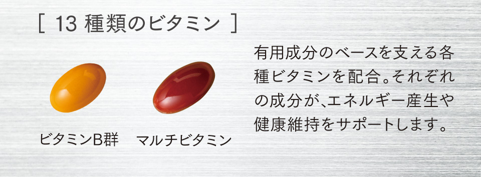 ［ 13種類のビタミン ］ビタミンB群　マルチビタミン　有用成分のベースを支える各種ビタミンを配合。それぞれの成分が、エネルギー産生や健康維持をサポートします。