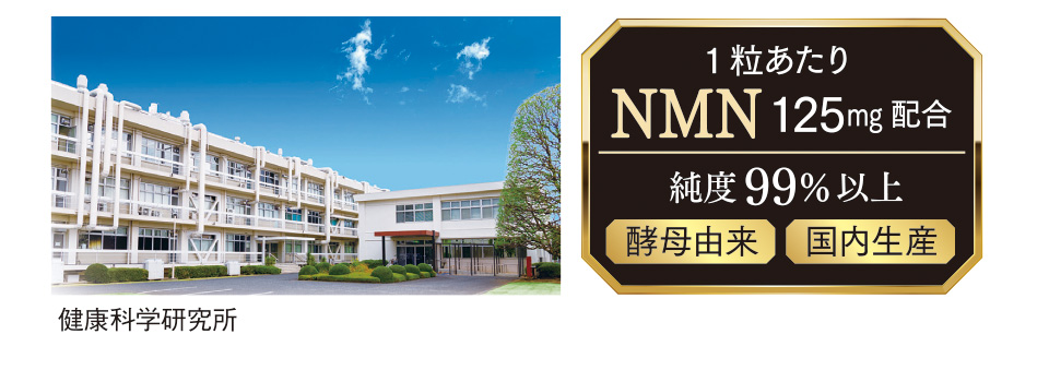 1粒あたりNMN 125mg配合　純度99％以上　酵母由来　国内生産