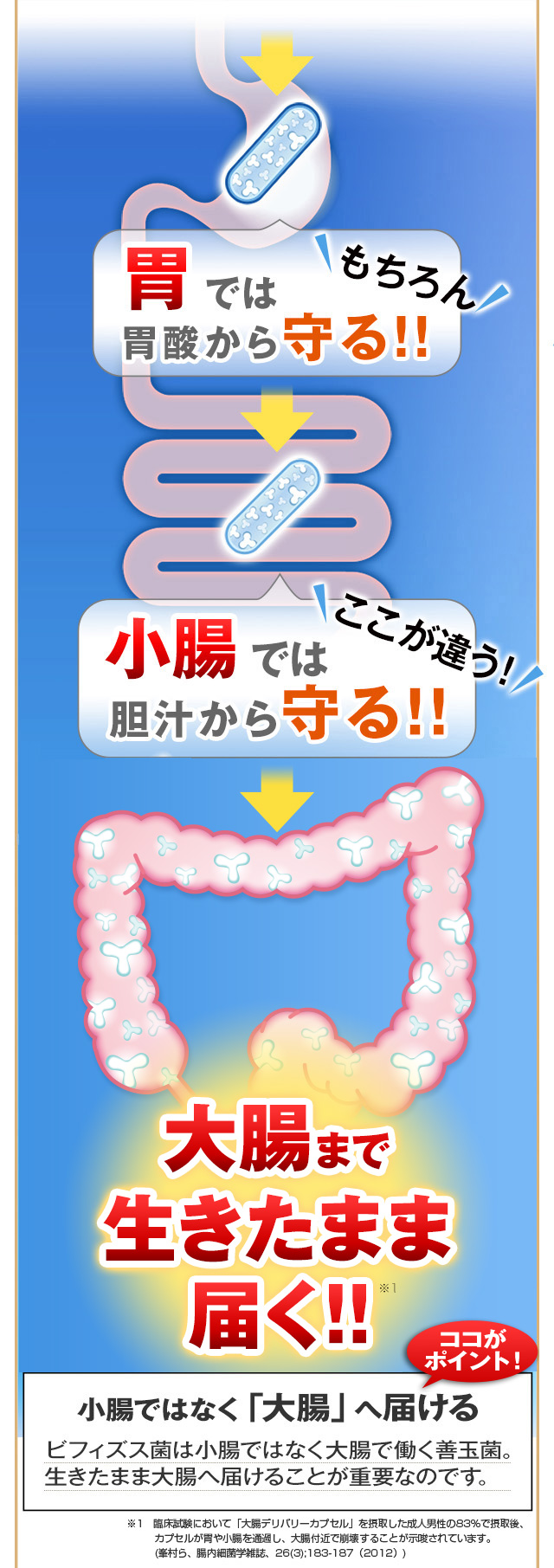 ビフィコロンＳ Amazon | 【公式】ビフィコロンS＜機能性表示食品＞ビフィズス菌