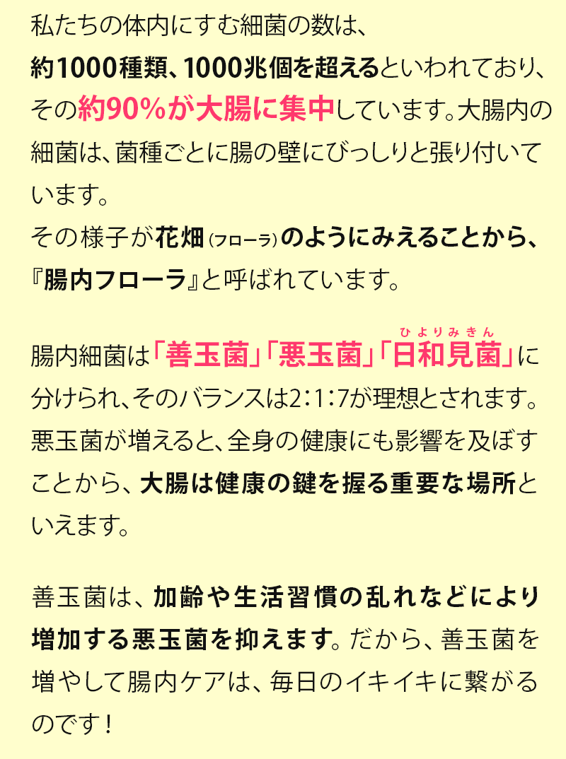 私たちの体内にすむ細菌の数は約1000種類、1000兆個を超えると言われており、その約90％が大腸に集中しています。