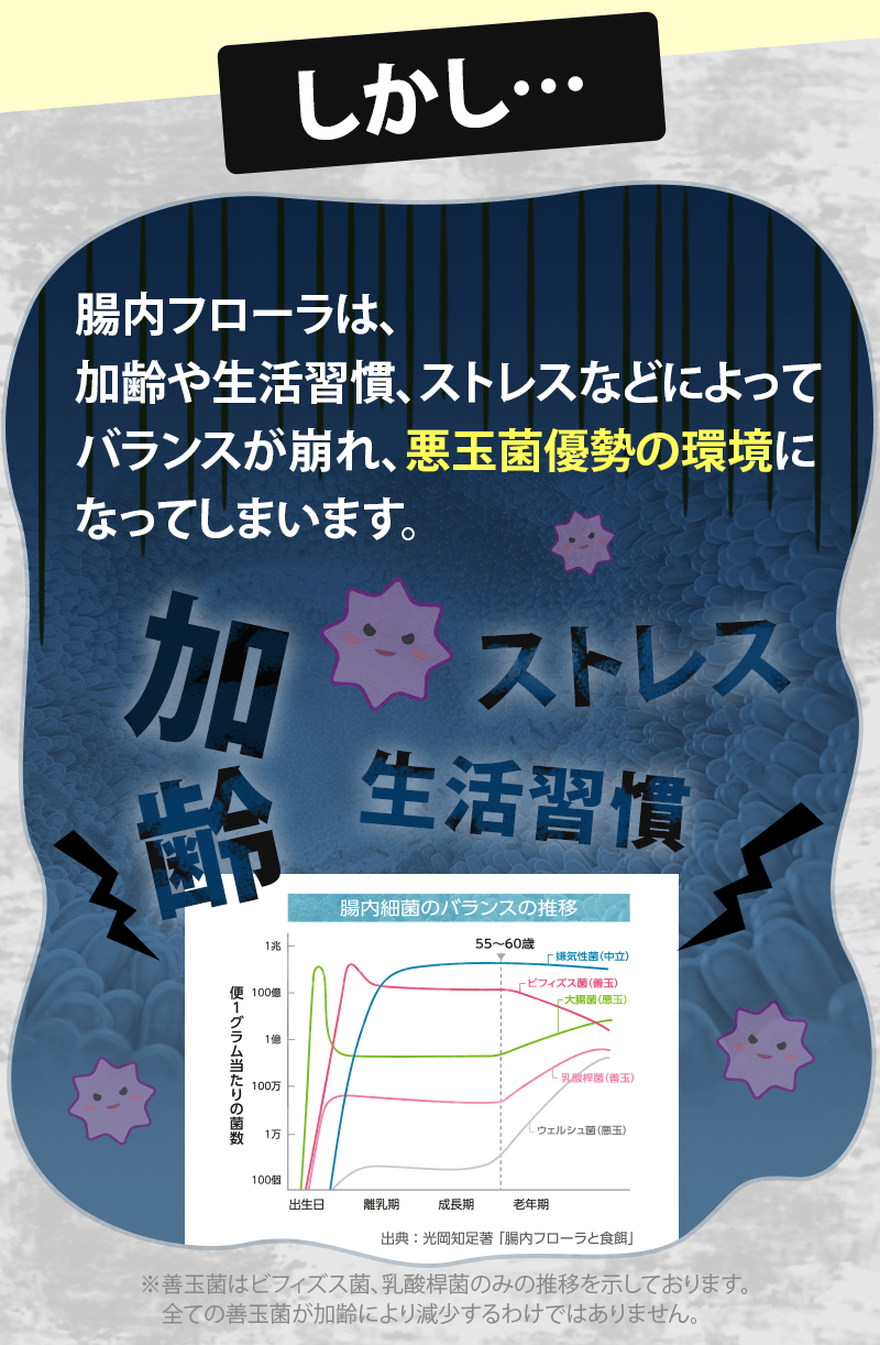 しかし…　腸内フローラは加齢や生活習慣、ストレスなどによってバランスが崩れ、悪玉菌優勢の環境になってしまいます。