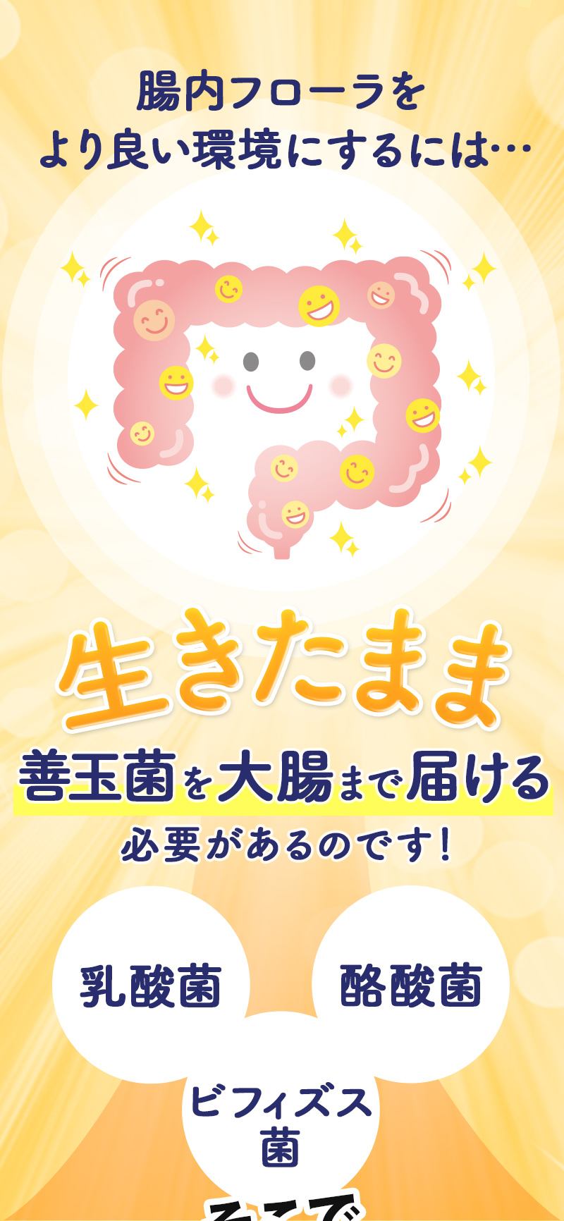 腸内フローラをより良い環境にするには…生きたまま善玉菌を大腸まで届ける必要があるのです！