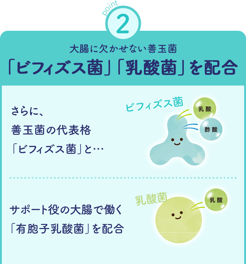 大腸の健康に欠かせない善玉菌「ビフィズス菌」「乳酸菌」を配合