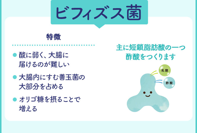 ビフィズス菌