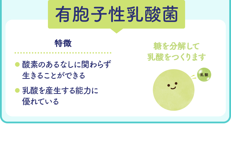 有胞子性乳酸菌