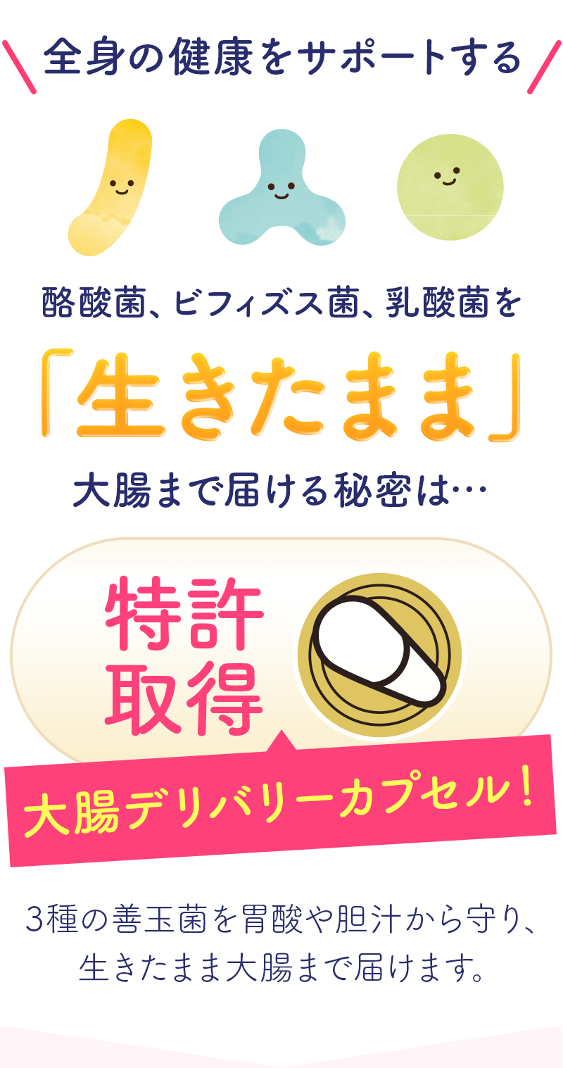 大腸だけでなく全身の健康をサポートする