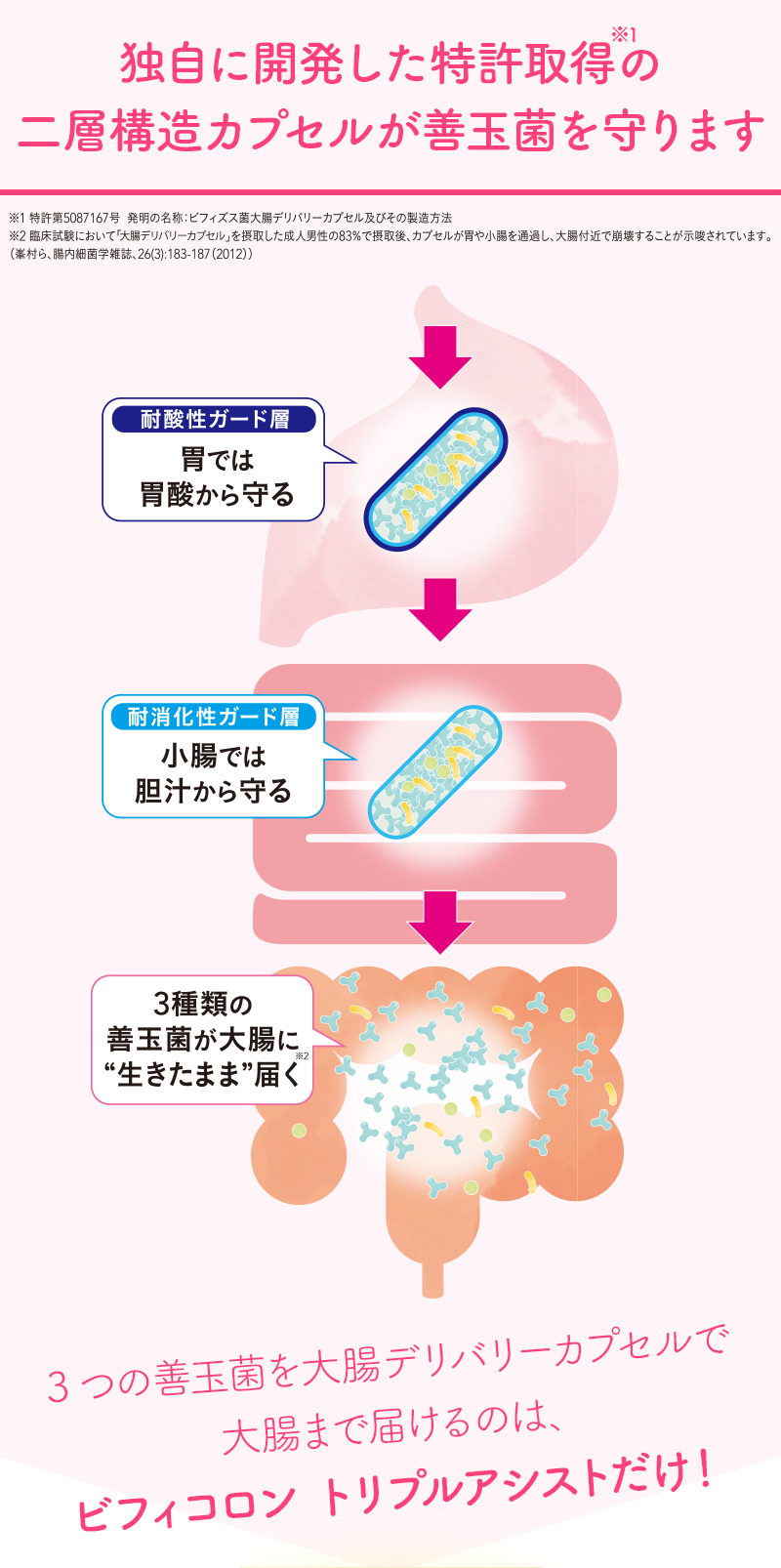 独自に開発した特許取得の二層構造カプセルが善玉菌を守ります