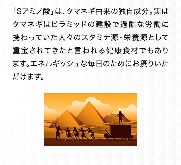 「Sアミノ酸」は、タマネギ由来の独自成分。実はタマネギはピラミッドの建設で過酷な労働に携わっていた人々のスタミナ源・栄養源として重宝されてきたと言われる健康食材でもあります。エネルギッシュな毎日のためにお摂りいただけます。