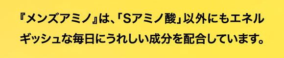 「メンズアミノ」は、「Sアミノ酸」以外にもエネルギッシュな毎日にうれしい成分を配合しています。