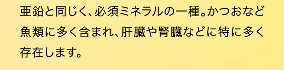 亜鉛と同じ、必須ミネラルの一種。かつおなど魚類に多く含まれ、肝臓や腎臓などに特に多く存在します。