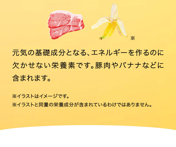 元気の基礎成分となる、エネルギーを作るのに欠かせない栄養素です。豚肉やバナナなどに含まれます。