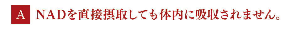 A　NADを直接摂取しても体内に吸収されません。
