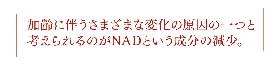 加齢に伴うさまざまな変化の原因の一つと考えられるのがNADという成分の減少。