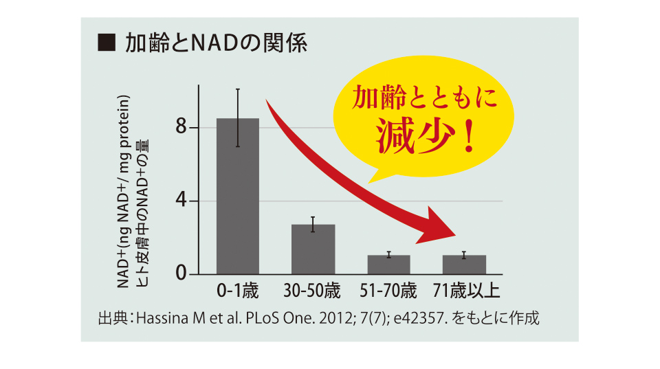 ■ 加齢とNADの関係 加齢とともに減少！出典：Hassina M et al. PLoS One. 2012; 7(7); e42357. をもとに作成