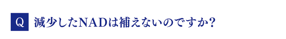 Q　減少したNADは補えないのですか？