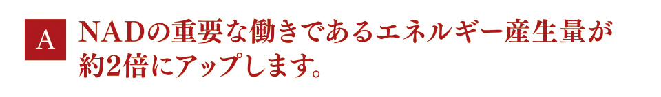 A　NADの重要な働きであるエネルギー産生量が約2倍にアップします。