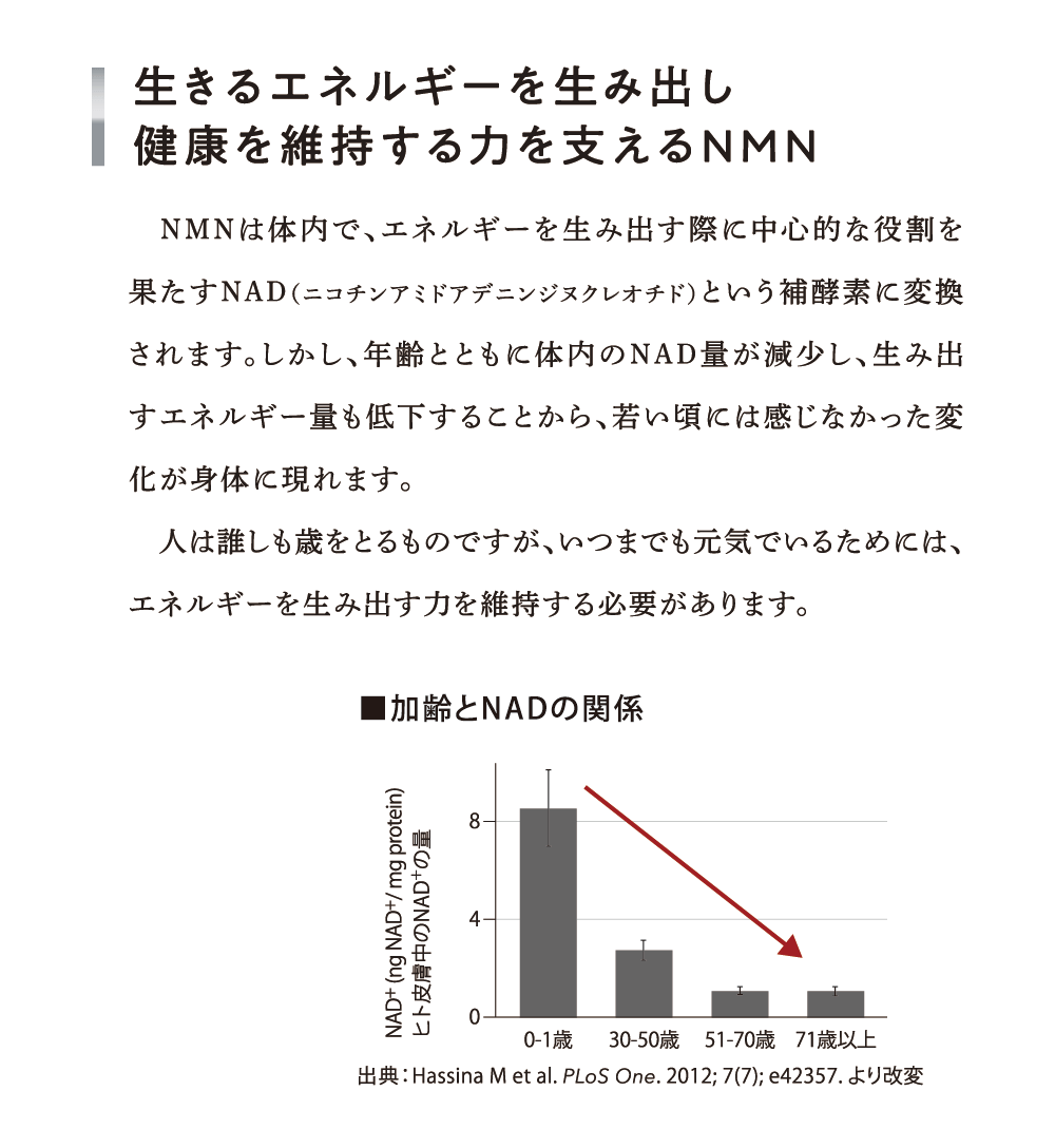 生きるエネルギーを生み出し健康を維持する力を支えるNMN