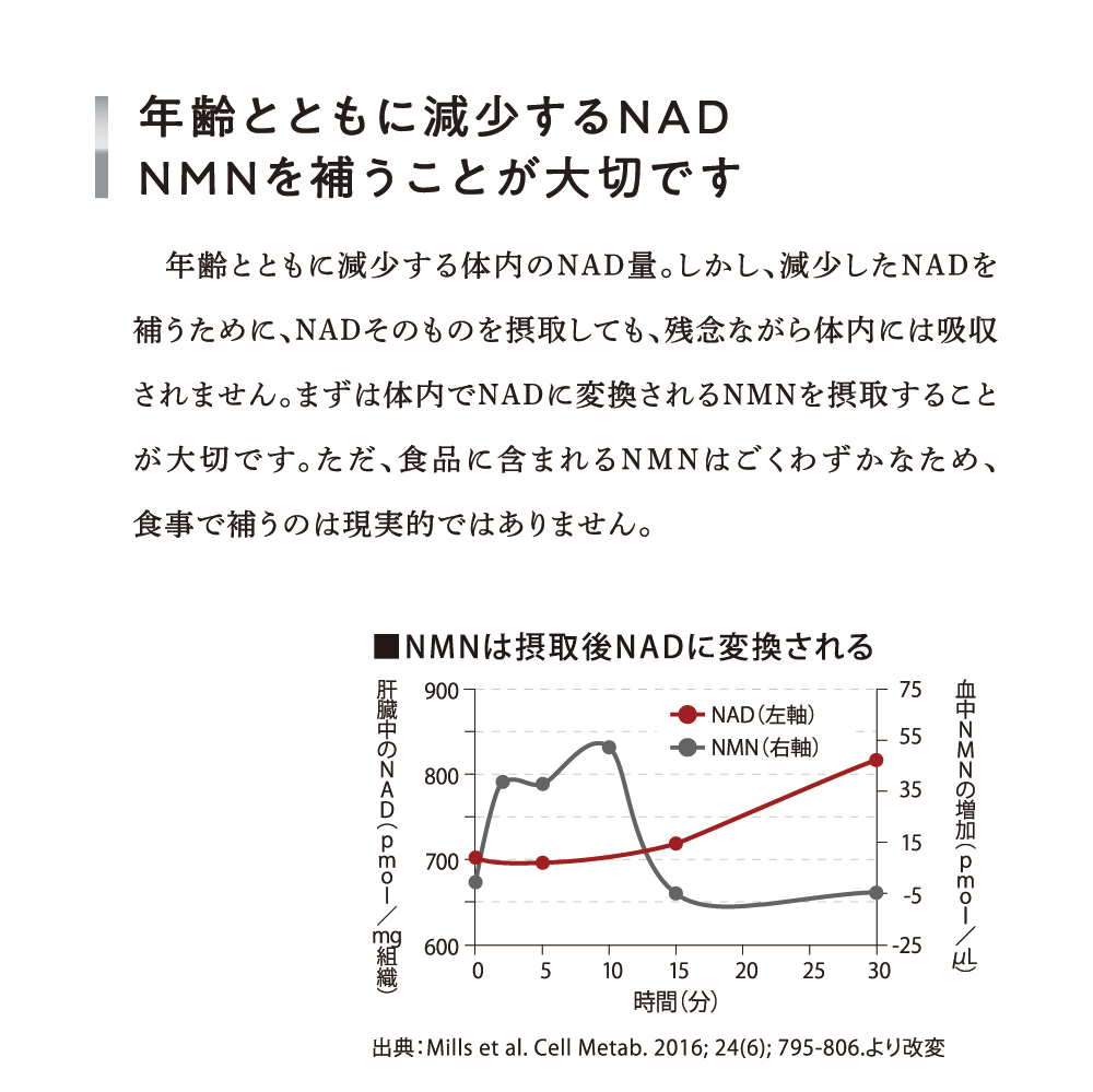 年齢とともに減少するNAD NMNを補うことが大切です